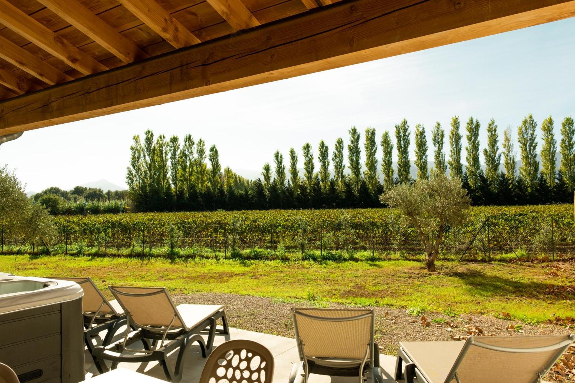 Domaine Saint Thomas Villa อาร์เจเลส-ซัวร์-แมร์ ภายนอก รูปภาพ